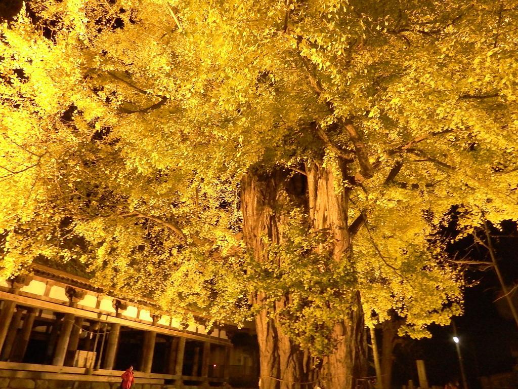 Hotel Yamagataya Kitakata Exteriér fotografie