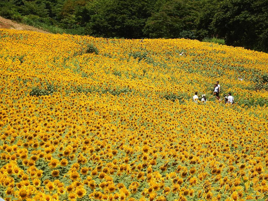 Hotel Yamagataya Kitakata Exteriér fotografie