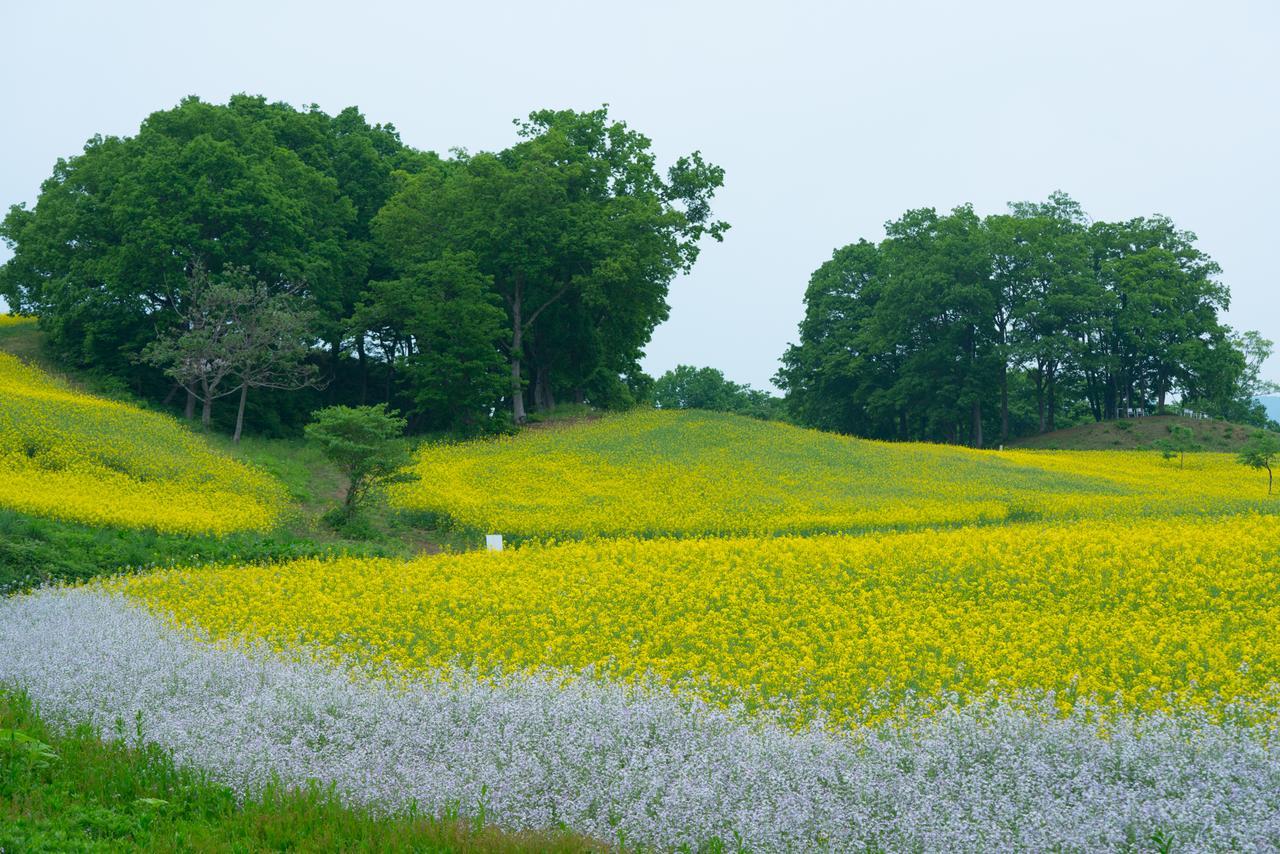 Hotel Yamagataya Kitakata Exteriér fotografie